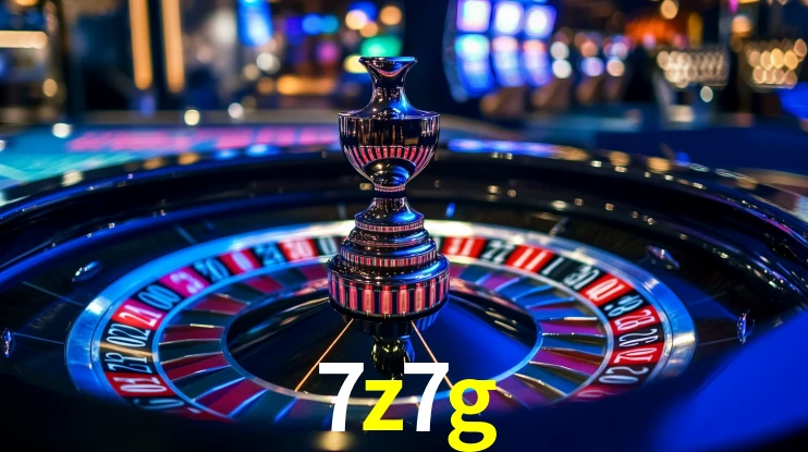 7z7g App Interface