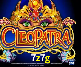 7z7g Curitiba - Live Status